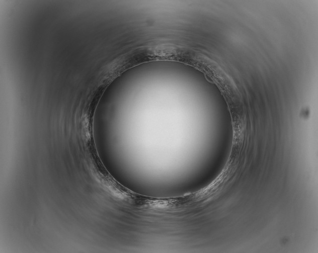 X0000097990187200803241350