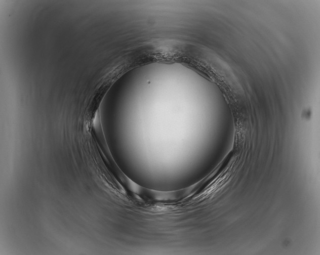 X0000097990188200803241350
