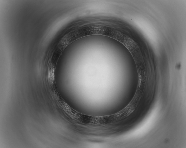 X0000097990190200803241350