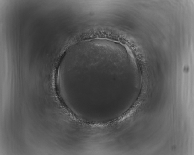 X0000097990192200803241350