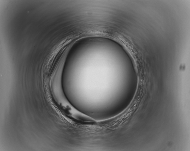 X0000097990193200803241349