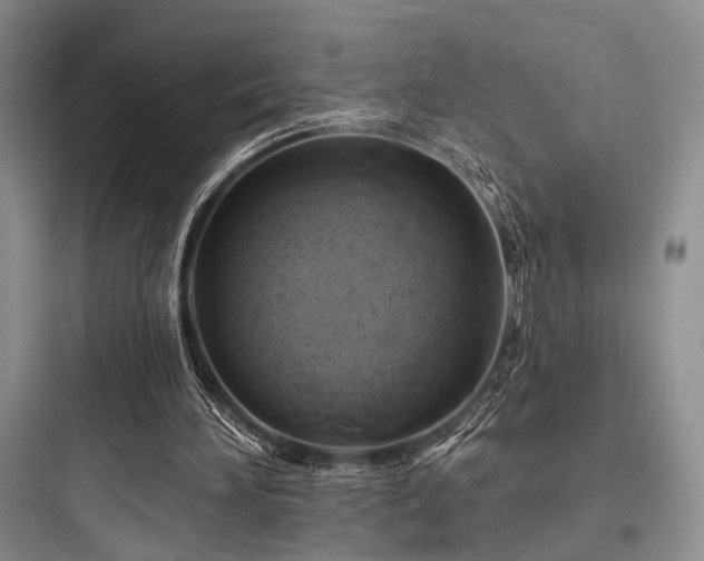 X0000097990196200803241349