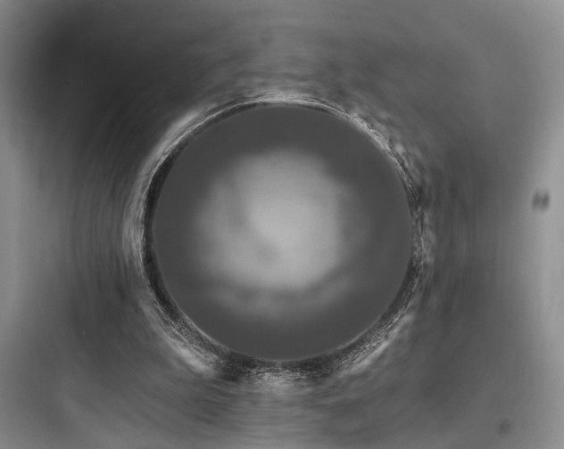 X0000097990199200803241349
