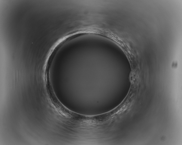 X0000097990200200803241349