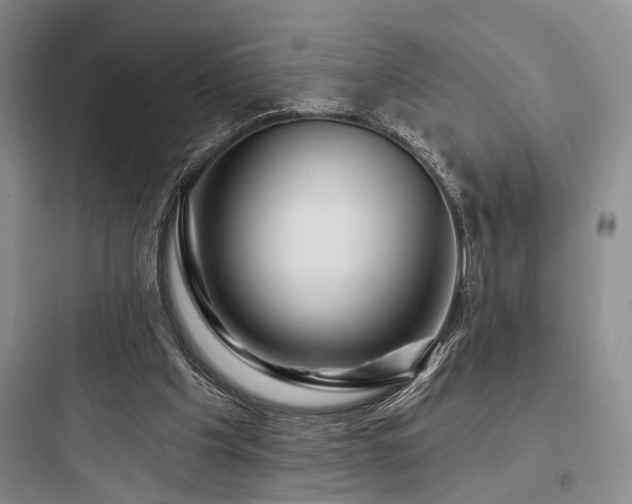 X0000097990201200803241349