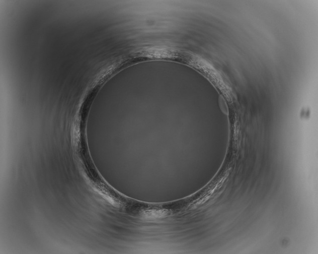 X0000097990202200803241349