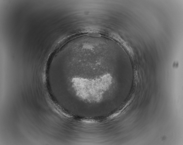 X0000097990203200803241349