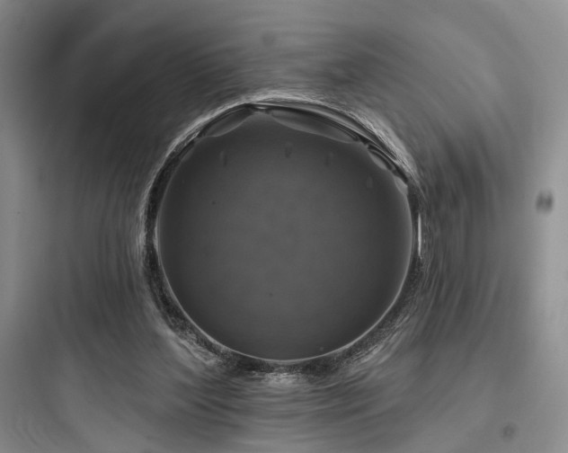 X0000097990204200803241349