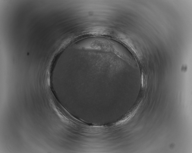X0000097990205200803241349