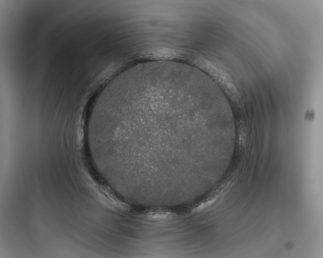 X0000097990206200803241349