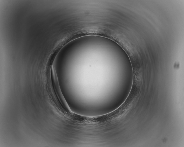 X0000097990207200803241349