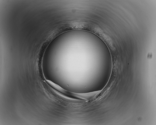 X0000097990209200803241349