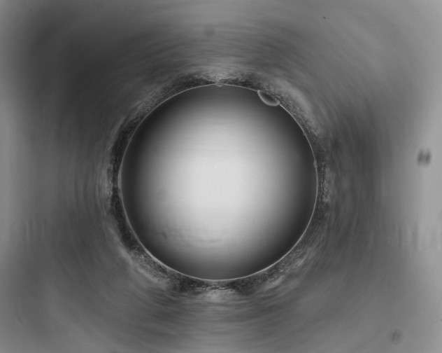 X0000097990210200803241349
