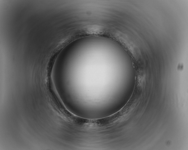 X0000097990211200803241349