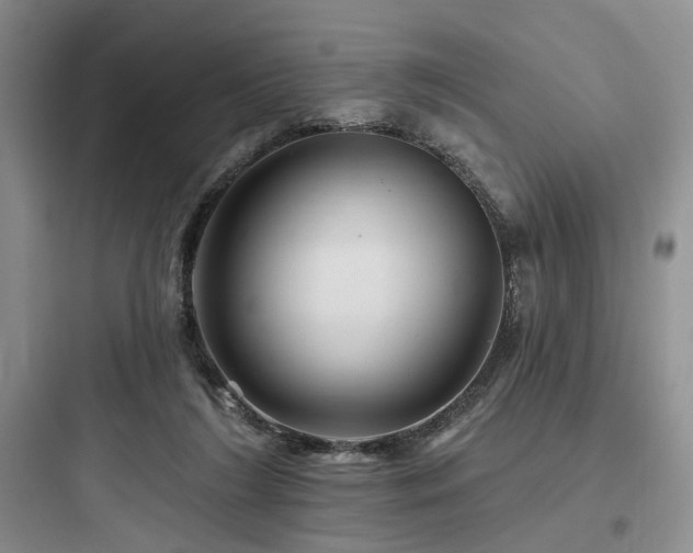 X0000097990212200803241349