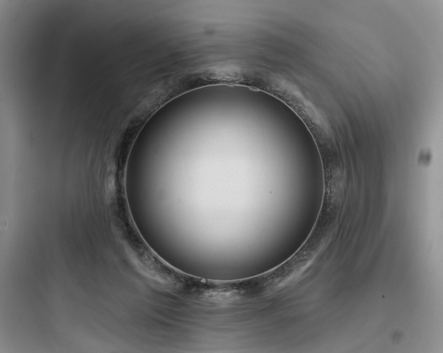 X0000097990213200803241349