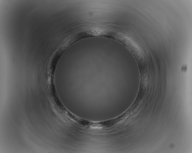 X0000097990214200803241349