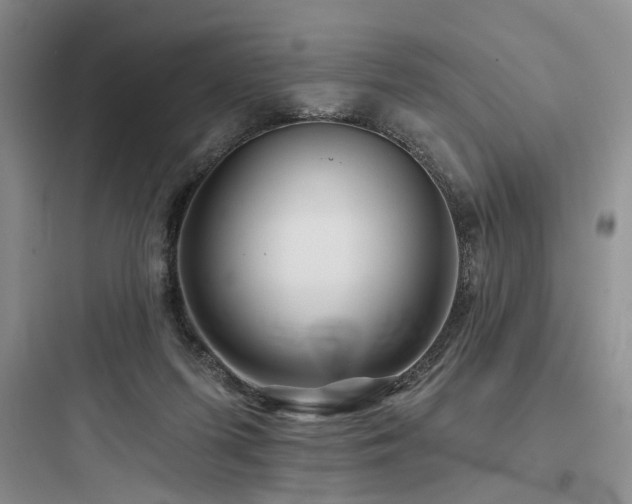X0000097990215200803241349
