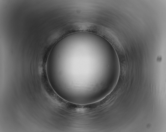 X0000097990216200803241349