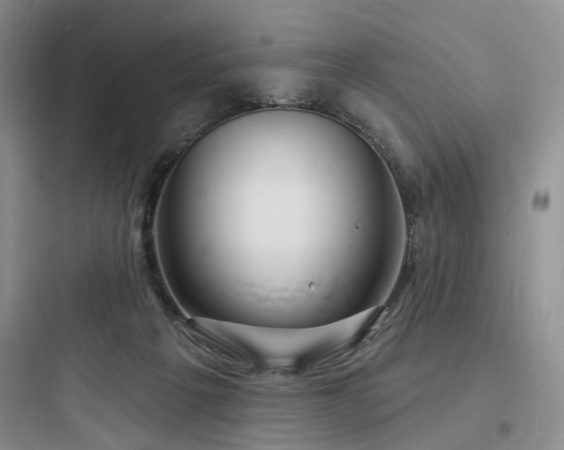 X0000097990217200803241349