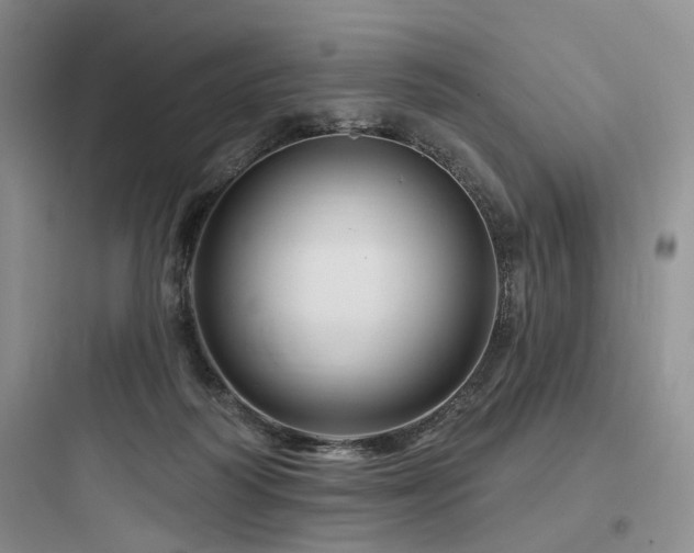 X0000097990218200803241349