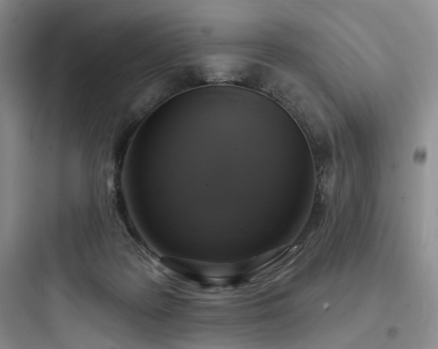 X0000097990219200803241349