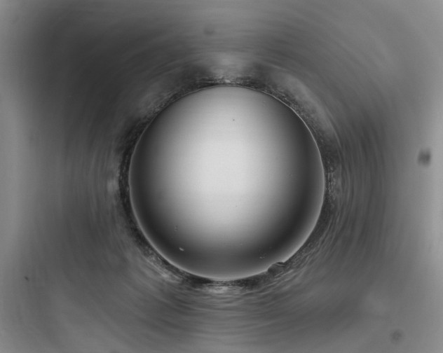 X0000097990221200803241349