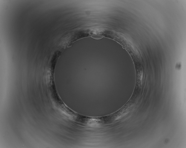 X0000097990222200803241349