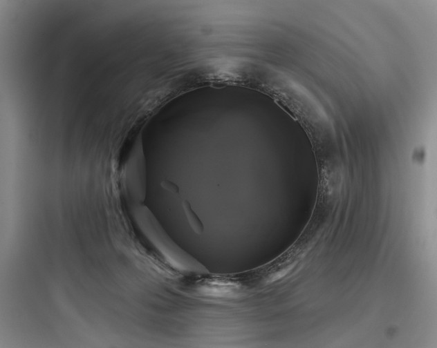 X0000097990223200803241349