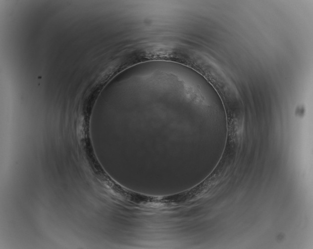 X0000097990224200803241349