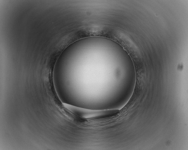 X0000097990225200803241349