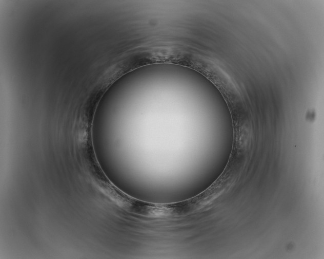 X0000097990226200803241348