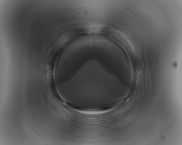 X0000097990228200803241348