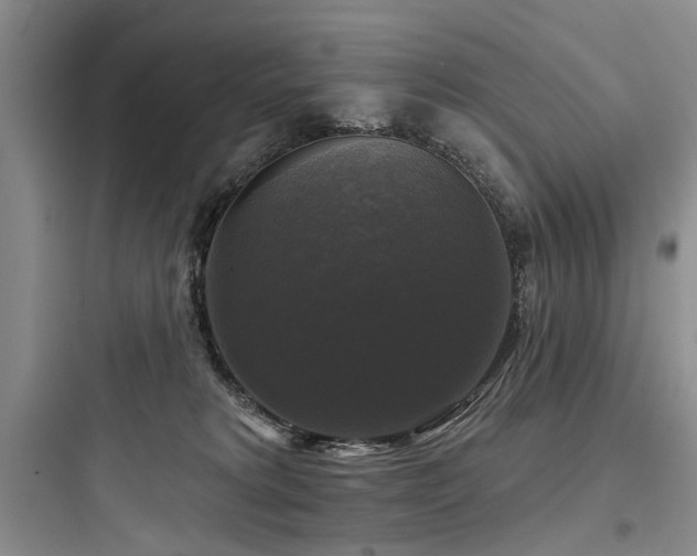 X0000097990229200803241348