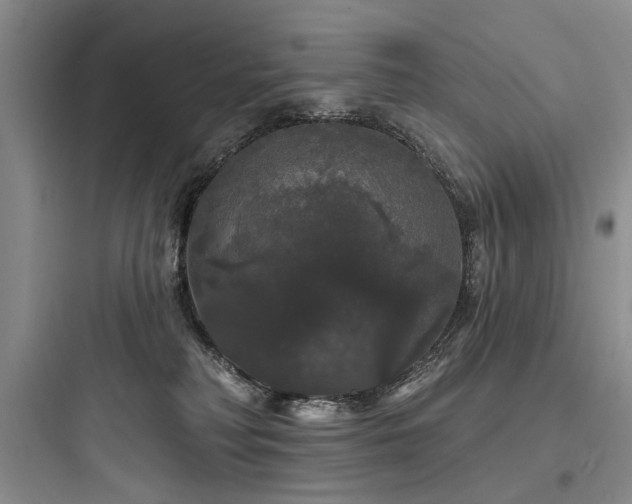 X0000097990230200803241348