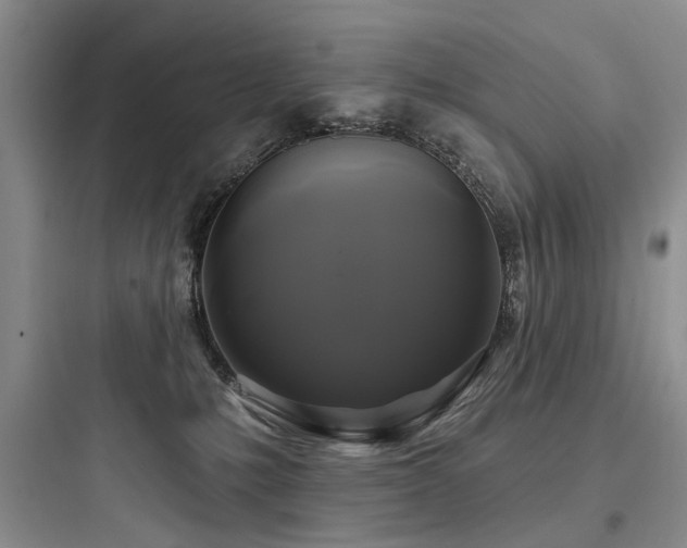 X0000097990231200803241348