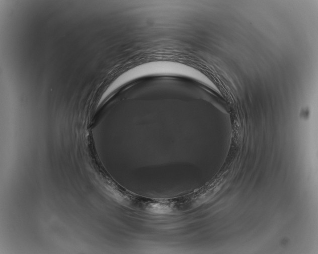 X0000097990232200803241348