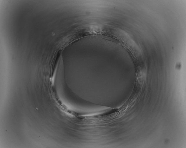 X0000097990233200803241348