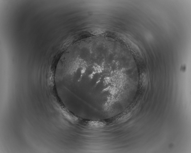 X0000097990234200803241348