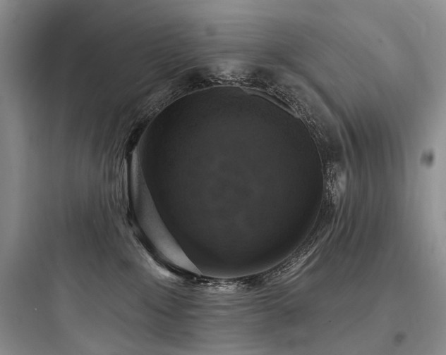 X0000097990235200803241348