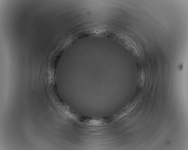 X0000097990236200803241348