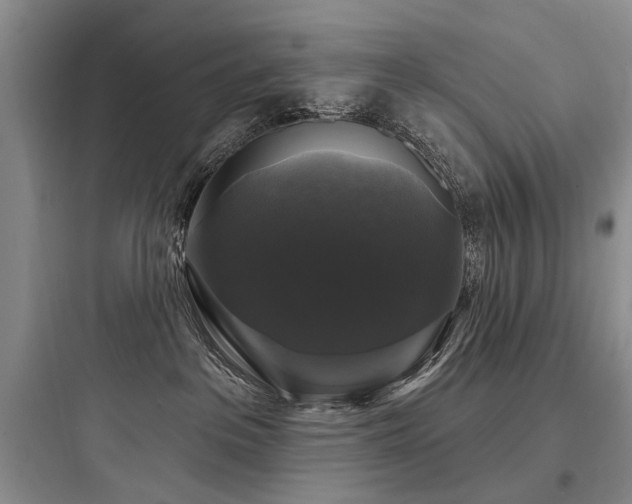 X0000097990237200803241348