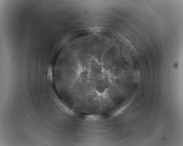 X0000097990238200803241348