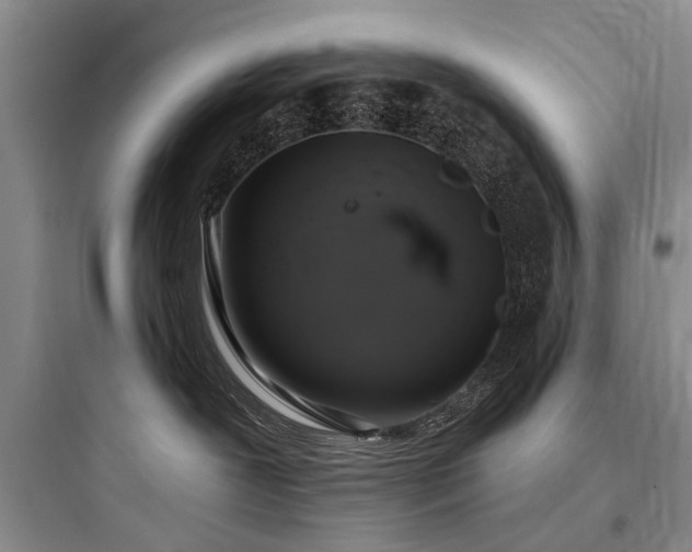 X0000097990239200803241348