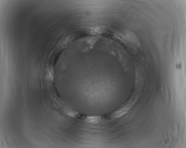X0000097990240200803241348