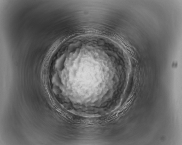 X0000097990241200803241347
