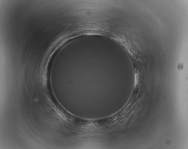 X0000097990243200803241347