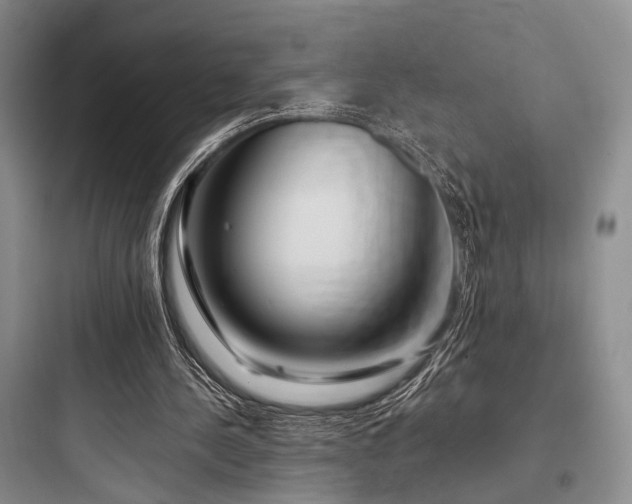 X0000097990244200803241348