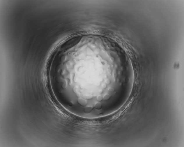 X0000097990245200803241348