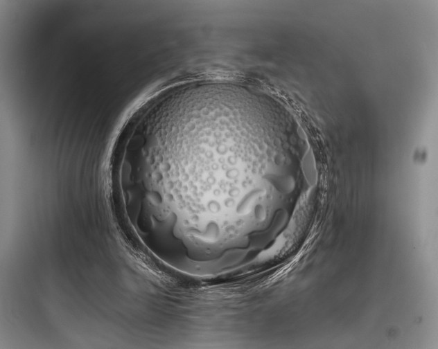 X0000097990246200803241348
